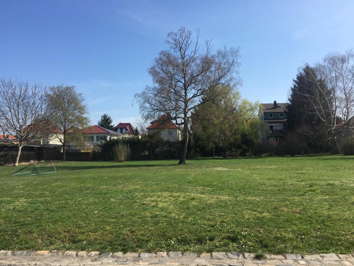 Senfbude - Klein Aber Fein - Wunderschoenes Studio-apartment Mit Terrasse Und Stellplatz Apartment *