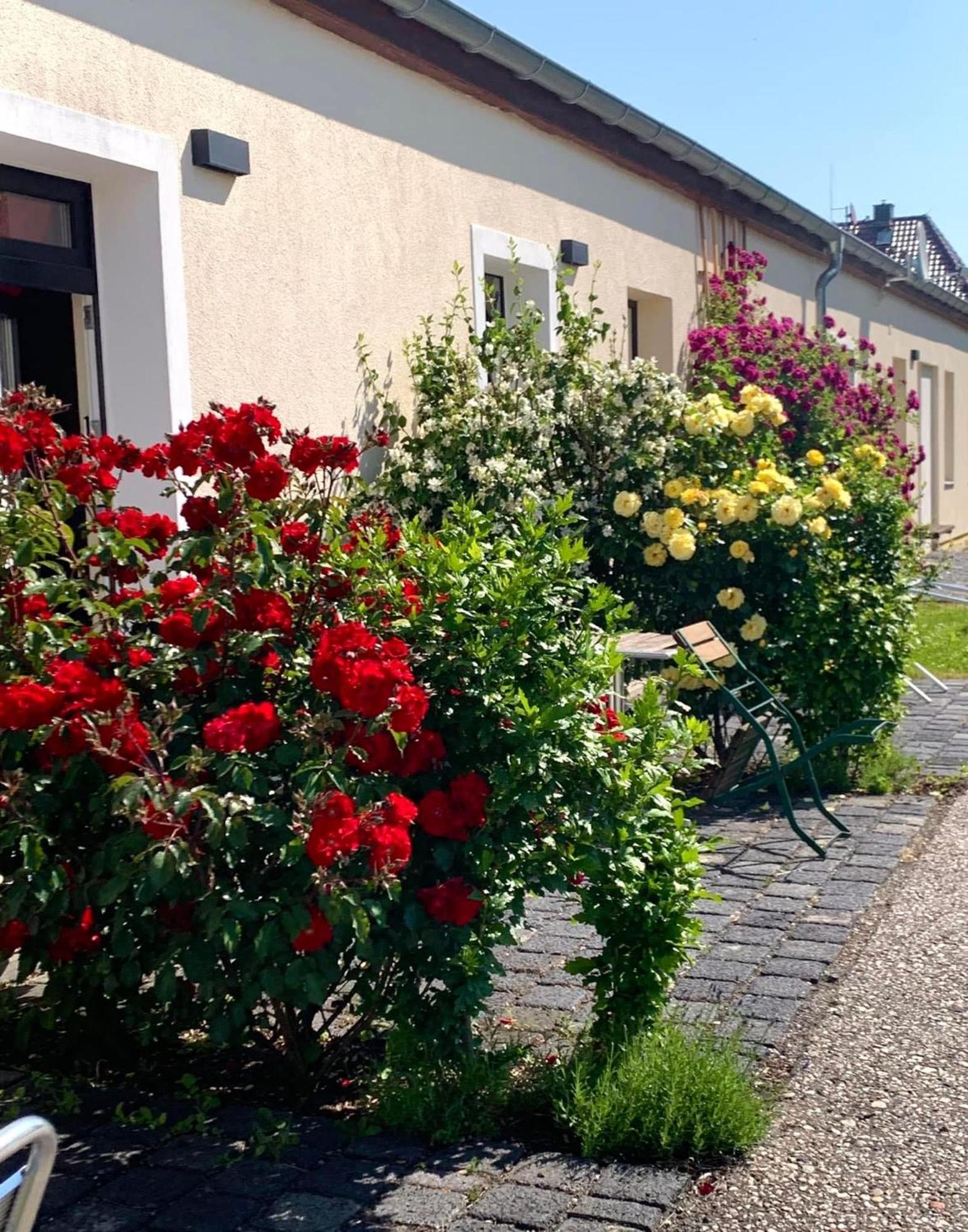 Senfbude - Klein Aber Fein - Wunderschoenes Studio-apartment Mit Terrasse Und Stellplatz Apartment Leipzig